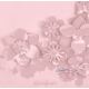 Коляска 2 в 1 Cybex Priam 4 Simply Flowers Pale Blush шасси Matt Black